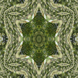 Early Autumn in the Scottish Highlands