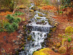 Spring Waterfall in the Scottish Capitol                                                                                                       