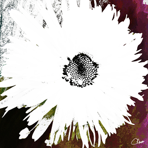 Abstract Daisy 7