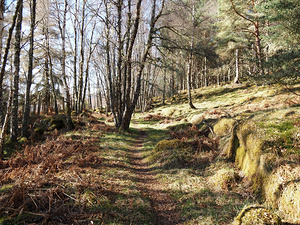 Early April in the Scottish Highlands                                                                                                                  