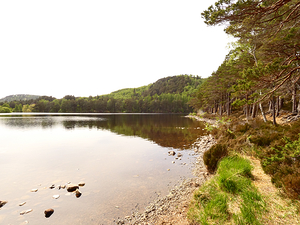 Scottish Highlands Summer Lochside