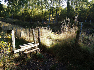 Stile in the Scottish Highlands                                                                                                                     