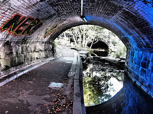 Abstract Graffiti Tunnel                                                                                                                     