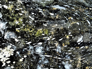 Eddies in Forest Stream                                                                                                                     