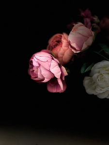 Portrait of Plants- Delicate Fabric Roses