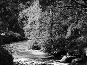 Scottish Highlands Monochrome Stream