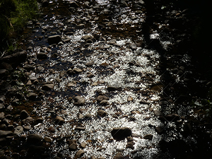 Sparking Water of the Scottish Highlands