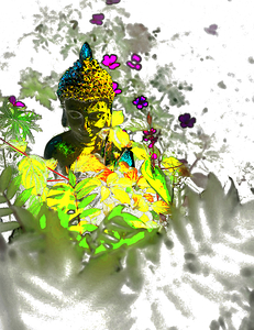 Zen Again in the Scottish Highlands 