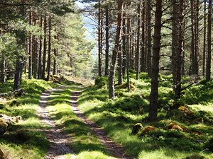 Scottish Highlands Nature Trail                                                                                                                    