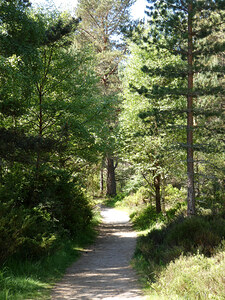 Summers Walk through the Scottish Highlands