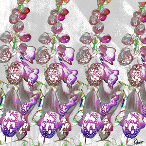 Abstract Coloured Foxgloves