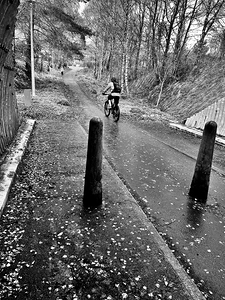 Everyday Lifes Moments- The Trails Await