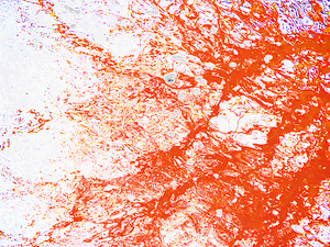  Abstract Orange Water Reflections                                                                                                          