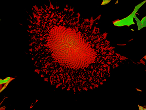 Abstract Red Sunflower