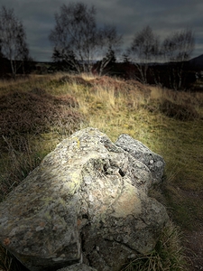 Scenes from the Trail- Rock and Sun