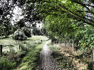  Natures Summer Path through the Scottish Highlands                                                                                                                    