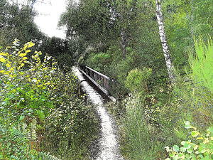 Bridge through the Scottish Highlands                                                                                                                     