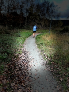 Scenes from the Trail- Runner Too