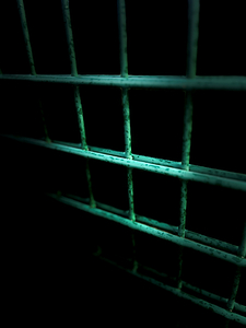 Everyday Life s Moments - The Fence 