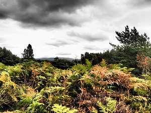 Scottish Highlands Dramatic  Sky Landscape                                                                                                    