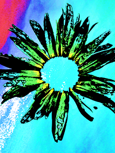Abstract Daisy Green Centre