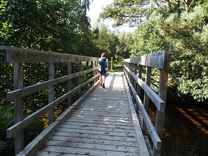 Crossing the Bridge in the Scottish Highlands                                                                                                                     