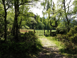 Scottish Highlands Spring                                                                                                       