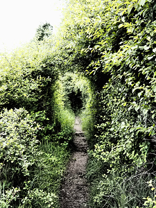 Natures Flow through the Scottish Highlands                                                                                                                     