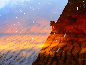    Ripples of Reflections                                                                                            