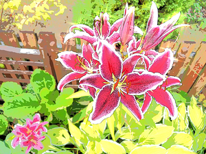  Abstract Vibrant Lily Garden                                                                                                                    