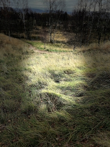 Scenes from the Trail - Autumn in the Scottish Highlands