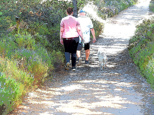 A Good Day for a Walk                                                                                                                     