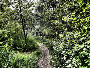 The Path through the Scottish Highlands                                                                                                                     