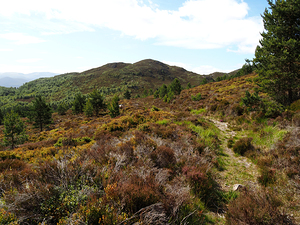 Scottish Highlands Trail to the Hills                                                                                                                    