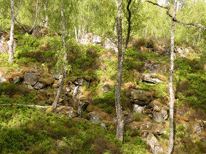 Scottish Highlands Fairy Tale Summer