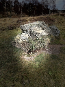 Scenes from the Trail- Boulder Seat