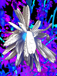 Abstract Monochrome Daisy Flower on a Psychedelic Background