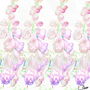 Abstract Foxglove Florals