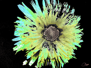 Abstract Daisy in Green and Blue