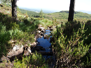 Scottish Highlands Peaceful Vibes                                                                                                                     