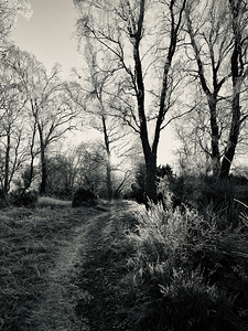 Winters Frosty Caress for the Scottish Highlands 