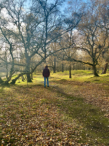Scenes from the Trail - Contemplation 
