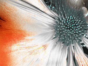 Abstract Cone Flower
