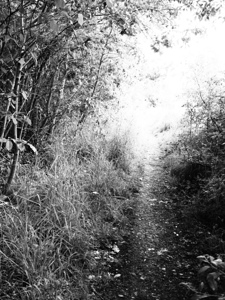  The Scottish Highlands Mystery                                                                                                                    
