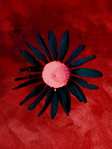 Abstract Daisy on a Red Background