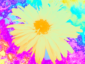 Abstract Pastel Daisy
