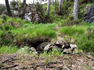  Scottish Highlands Home of the Wild Song                                                                                                                     