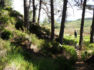  A Hill Top View in the Scottish Highlands                                                                                                                    