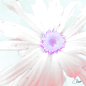 Abstract Pastel Flower