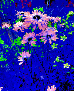 Abstract Flowers in the Garden